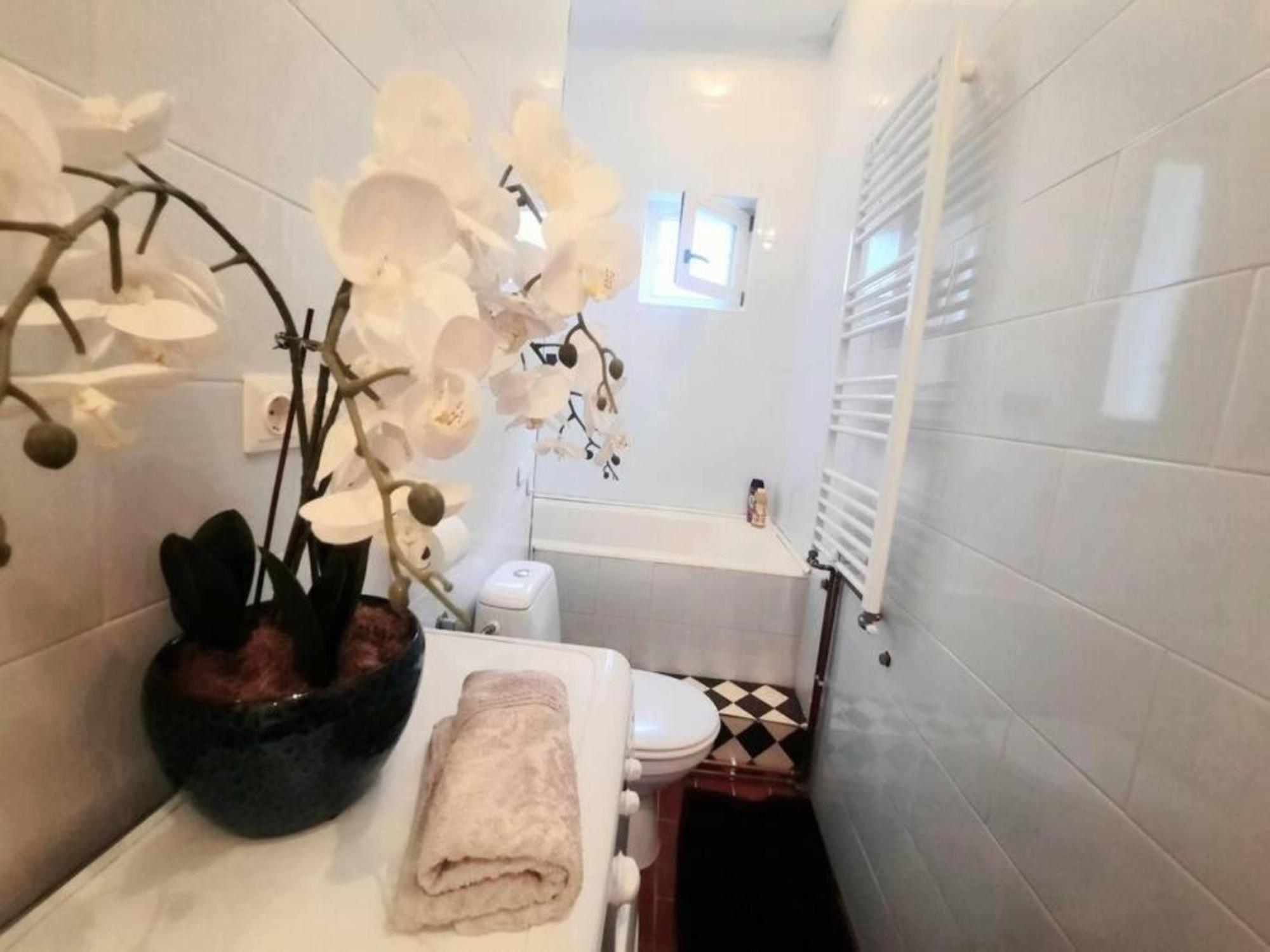 Timisoara Central 2 Bedroom Hotel Serviced Belle Vue Apart By The Park Exterior foto